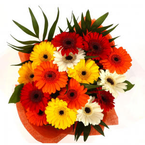 非洲菊特製雛菊花束