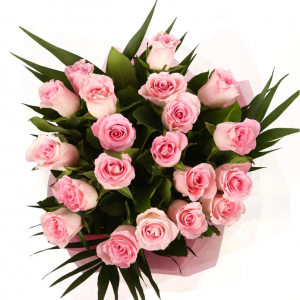 20朵美麗的粉紅玫瑰