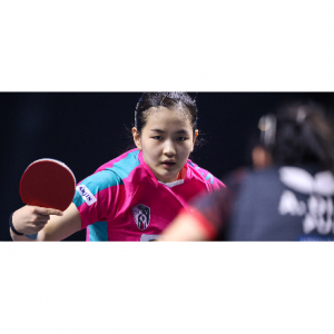 2025最新WTT赛程时间表(奖金和积分+直播/回放)- 大满贯赛、总决赛等系列赛地点汇总!