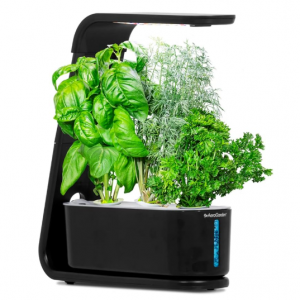 AeroGarden Sprout - Indoor Garden with LED Grow Light, Black @ Amazon