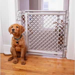 MyPet 2-in-1 Plastic Easy Swing Dog & Cat Gate, Gray