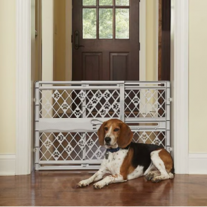 MyPet Paws 便携式宠物门，浅灰色