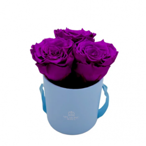 Round Paper Box (3 Preserved Rose Heads)