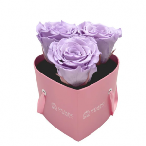 Heart Paper Box (3 Preserved Heads)