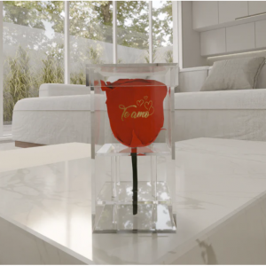 Valentine's day - Te amo - Acrylic Square Box (One Premium Rose)