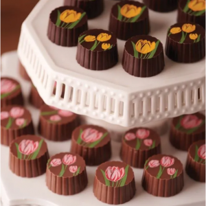 Pittman and Davis 春季郁金香松露巧克力