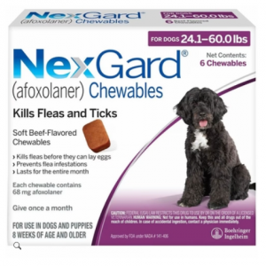 NexGard Chewables for Dogs - afoxolaner - 24.1-60 lbs (6 chews) - [Flea & Ticks]
