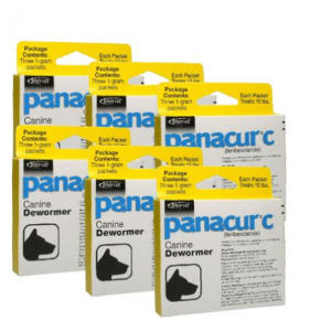 Panacur 犬用驱虫药 - C 型（1 克）- 6 包装 - [寄生虫治疗]