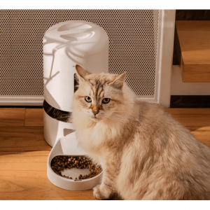 Up to 15% off Pet Favorites and Free Fountain with Select Dining Kits @ PetLibro