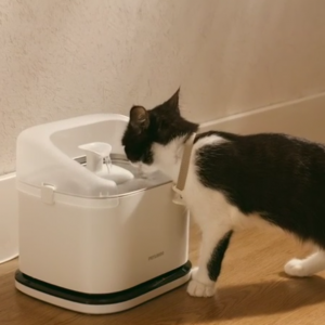 Dockstream RFID智能喷泉喂水器