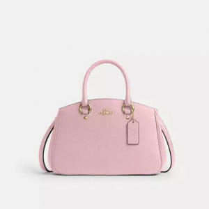 Coach Savannah Carryall 小号托特包