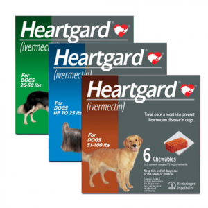 Heartgard 伊维菌素，用于预防至少6周龄犬只心丝虫病的药物