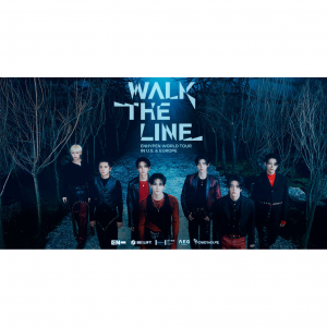 2025 ENHYPEN 世界巡回演唱会时间表 （地点+票价+座位表+购票渠道）- 各场次门票均已开售！