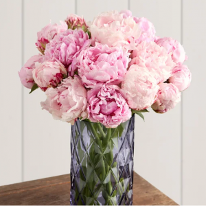 Precious Peony Bouquet