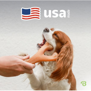 Benebone 培根味 Wishbone 坚韧狗狗咀嚼玩具