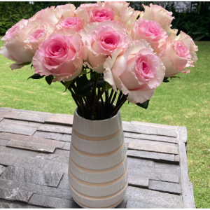 Pink Fairy Roses, 12 + Glass Vase