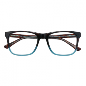 Endicott 时尚镜框 - FZ1392