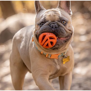 Chuckit Air Fetch Ball Dog Toy, Medium (2.5 Inch Diameter), for dogs 20-60 lbs @ Woot