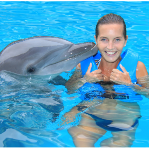 30% off Tickets: The One - Swim with dolphins in Cancun @Interactive Aquarium Cancun