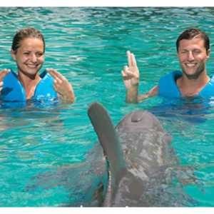 35% off Couples Dreams - Interactive Aquarium @Interactive Aquarium Cancun