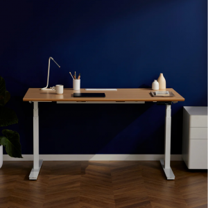 Get FREE Monitor Arm or Cable Tray with Standing Desk @ RECESS AU