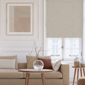 Blindsgalore® Classic Roller Shades: Blackout