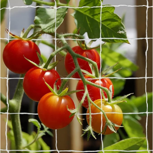 Tcamp 植物爬藤网 后院蔬菜必备 (5 Ft X 30 Ft) @ Amazon
