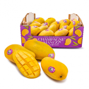 香槟芒果 礼盒装 12-20 个