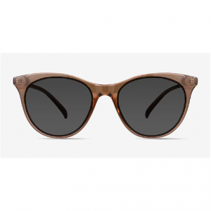 Cartel Cat Eye Clear Brown Sunglasses