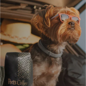 Memorial Day Sale: 20% Off Sitewide + Free Shipping on Orders Over $25! @ Peet’s Coffee