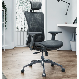 Sihoo M57 Classic Office Chair