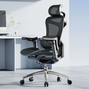 Sihoo Doro Doro C300 Ergonomic Office Chair
