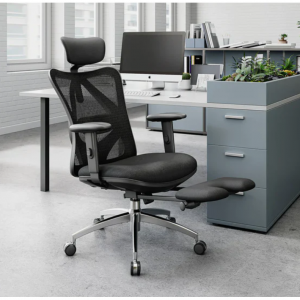 Sihoo M18 Classic Office Chair