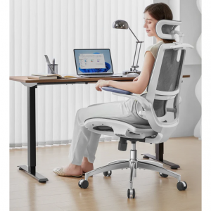 Sihoo Doro M59AS Ergonomic Office Chair