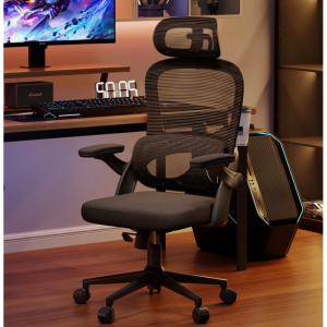 Sihoo M102C Office Chair