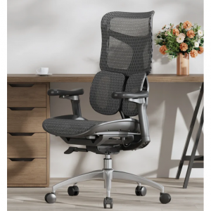 S100 Doro S100 Ergonomic Office Chair