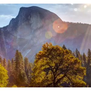 Yosemite National Park For an average of $146 per night @RVshare