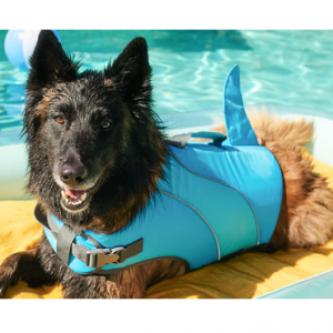 Summer Essentials Starting at $4.99 @ Petco