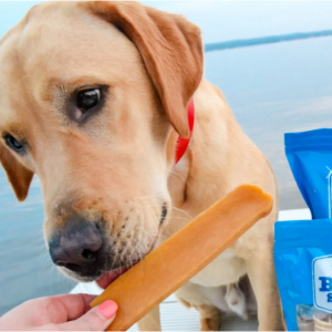 Large Himalayan Golden Yak Cheese Odor-Free (3 Pack)