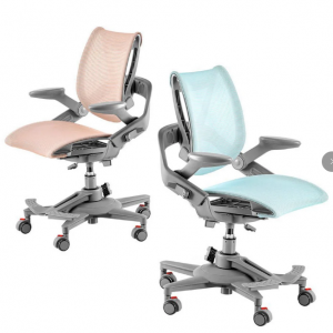 $100 OFF HINOMI Zee V2 Ergonomic Kids Study Desk Chair @ HINOMI