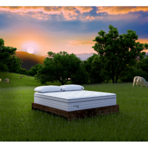Summer Sale | 20% OFF on Certified Organic Mattresses @ Evaya Organics