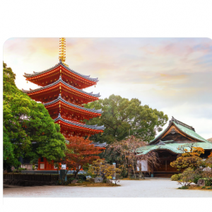 20% off flights with App @HopeGoo