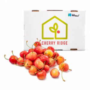Weee!独家 礼盒装 华盛顿Rainier 黄樱桃 大号特等品 5 磅