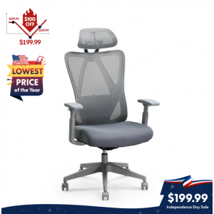 标准人体工学办公椅(C5)