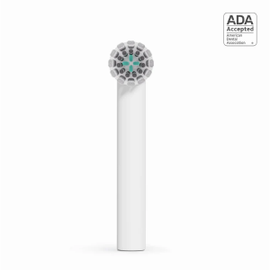 quip Rev 振动刷头