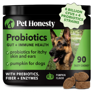 肠道+免疫健康消化益生菌咀嚼片（南瓜味）