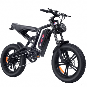 Windone E2 宽胎探险者越野电动车