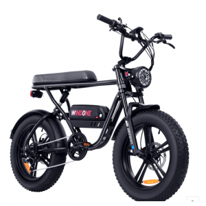 Windone K2 宽胎城市探索者电动车