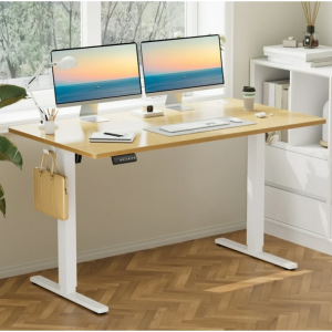 CONCETTA Electric Adjustable Height Standing Desk - 55 x 24 inch Desk Workstation for Home Office
