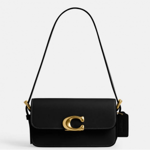 Coach Zoe Leather Shoulder Bag